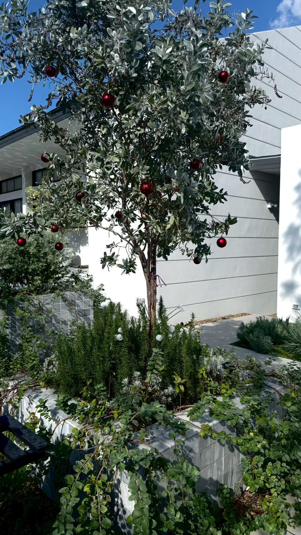 ผลงาน /bangsan (1).jpg